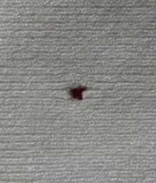 1631940474245539.jpg 구멍.jpg